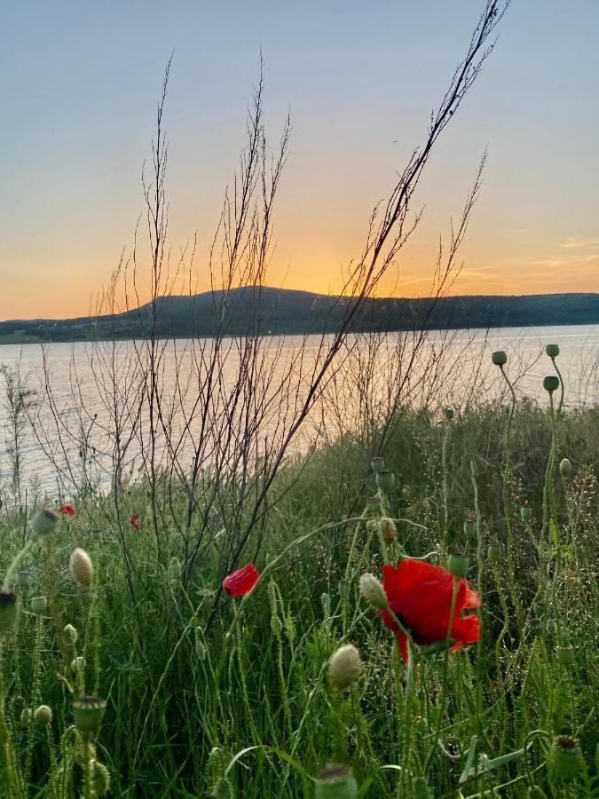 Caravans 10 Min To Tsonevo Lake & 35 Min To Black Sea Exteriör bild